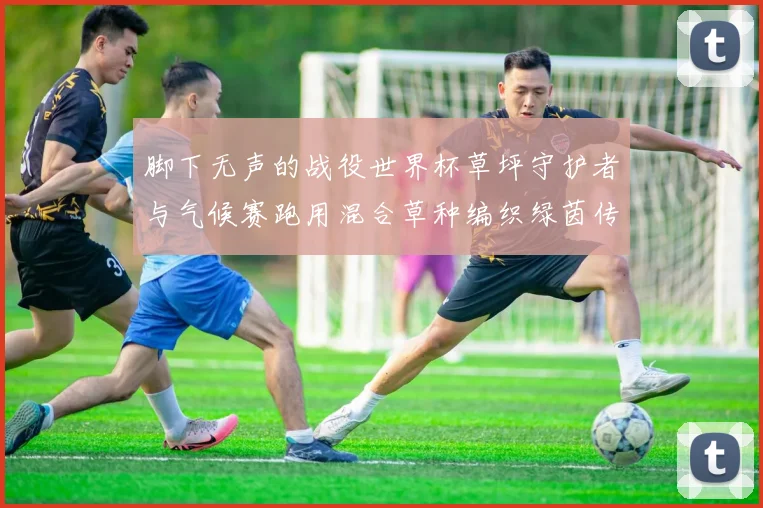 脚下无声的战役世界杯草坪守护者与气候赛跑用混合草种编织绿茵传奇